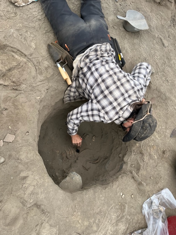 Archaeological dig excavation