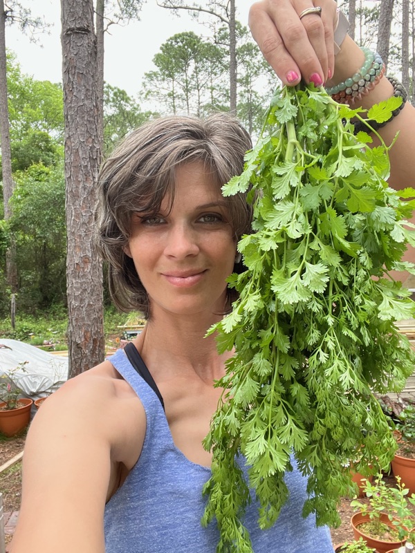 April holding a fresh cilantro harvest in the garden